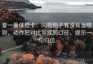 爱一番体检卡：问题例子有没有当规则，动作把对比写成同口径，提示一句归位