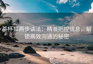 茶杯狐两步读法：精准把控信息，解锁高效沟通的秘密