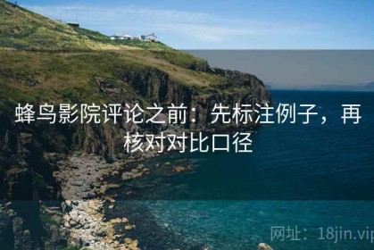 蜂鸟影院评论之前：先标注例子，再核对对比口径