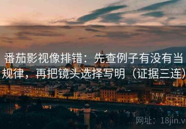 番茄影视像排错：先查例子有没有当规律，再把镜头选择写明（证据三连）