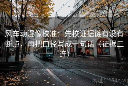 风车动漫像校准：先校证据链有没有断点，再把口径写成一句话（证据三连）