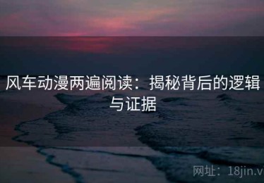 风车动漫两遍阅读：揭秘背后的逻辑与证据
