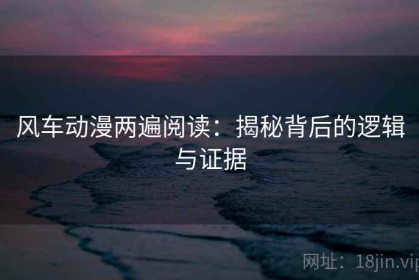 风车动漫两遍阅读：揭秘背后的逻辑与证据