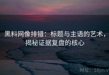 黑料网像排错：标题与主语的艺术，揭秘证据复盘的核心
