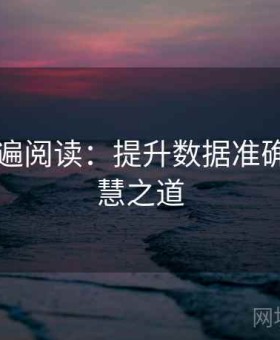 觅圈两遍阅读：提升数据准确性的智慧之道