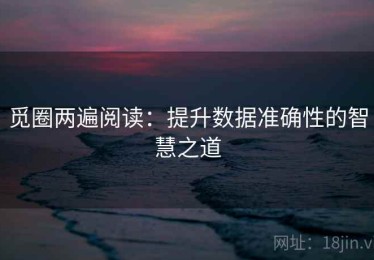 觅圈两遍阅读：提升数据准确性的智慧之道