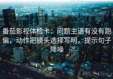 番茄影视体检卡：问题主语有没有跑偏，动作把镜头选择写明，提示句子降噪