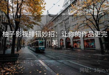 柚子影视排错妙招：让你的作品更完美