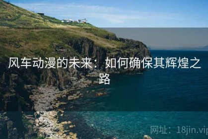 风车动漫的未来：如何确保其辉煌之路