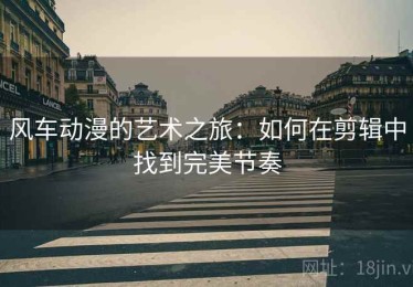 风车动漫的艺术之旅：如何在剪辑中找到完美节奏