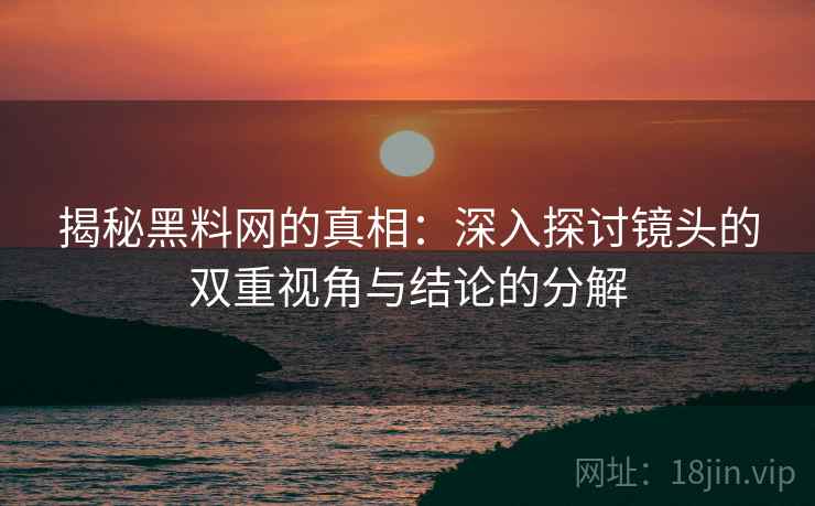 揭秘黑料网的真相：深入探讨镜头的双重视角与结论的分解
