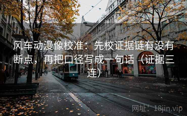 风车动漫像校准：先校证据链有没有断点，再把口径写成一句话（证据三连）