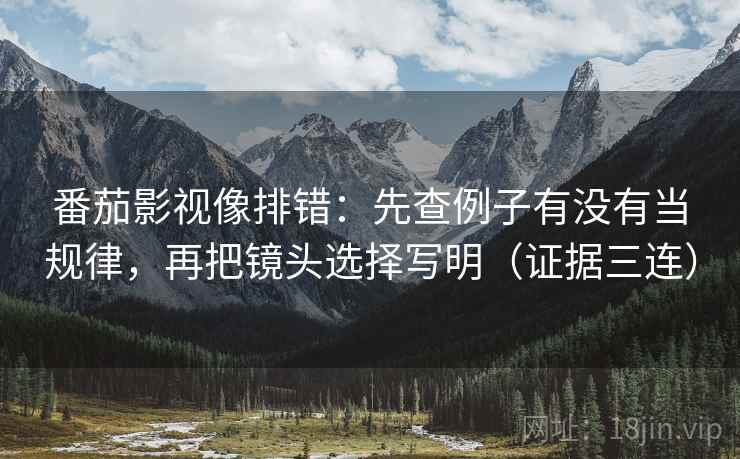 番茄影视像排错：先查例子有没有当规律，再把镜头选择写明（证据三连）