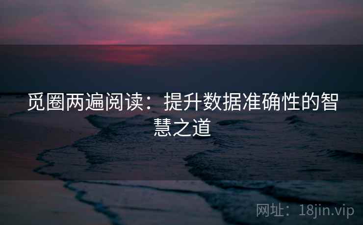觅圈两遍阅读：提升数据准确性的智慧之道