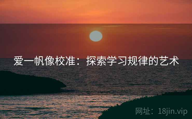 爱一帆像校准：探索学习规律的艺术